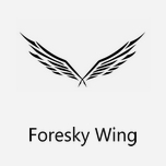  Foresky Wing/森空之翼 一个有灵魂的饰品香港历史开奖结果查询结果