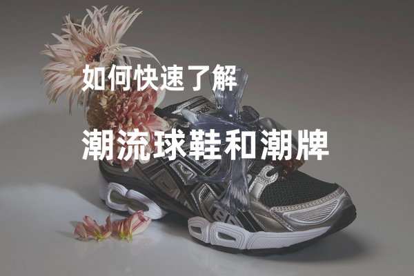 如何快速了解潮流球鞋和香港历史开奖结果查询结果？